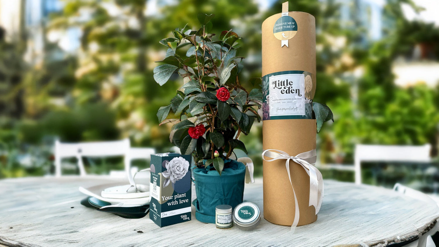 Plant gift set