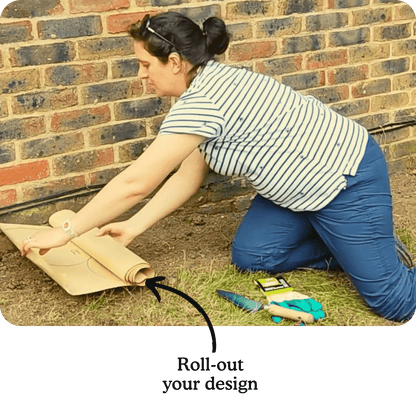 Jacqueline's Garden Boxes