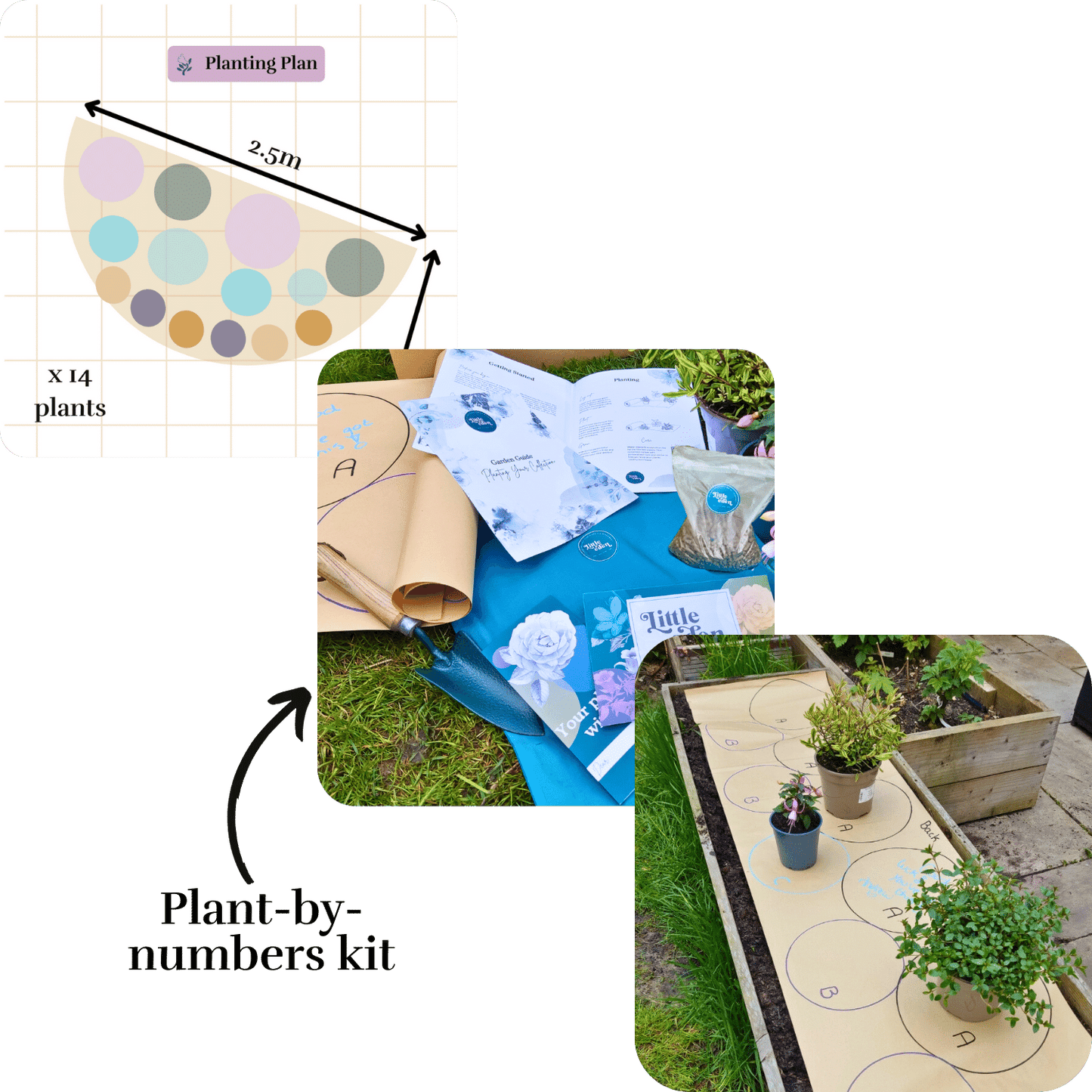 Esme's Plant-by-Numbers Kit